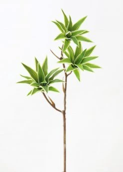 Afloral Variegated Fake Dracaena Succulent - 30