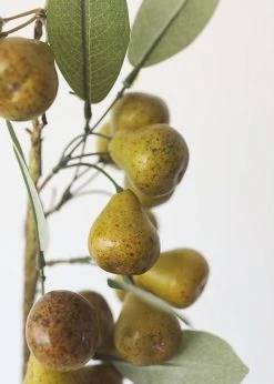 Afloral Artificial Pear Branch - 30