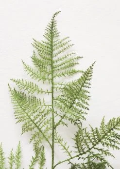 Afloral Fake Asparagus Fern Leaves - 45