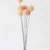 Afloral Artificial Craspedia Billy Buttons In Pink - 21"