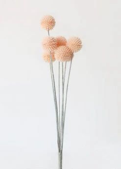 Afloral Artificial Craspedia Billy Buttons In Pink - 21"