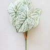 Afloral Variegated Tropical Caladium Fake Leaf Plant - 23"