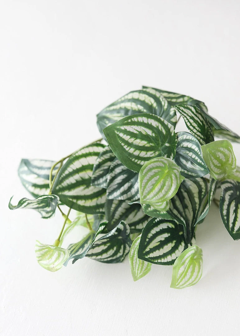 Afloral Artificial Natural Touch Watermelon Peperomia Plant - 13"