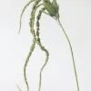Afloral Artificial Plants Artificial Amaranthus Spray In Green - 45"