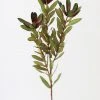 Afloral Artificial Wild Protea Foliage - 26.25" Artificial Plants
