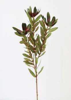 Afloral Artificial Wild Protea Foliage - 26.25" Artificial Plants