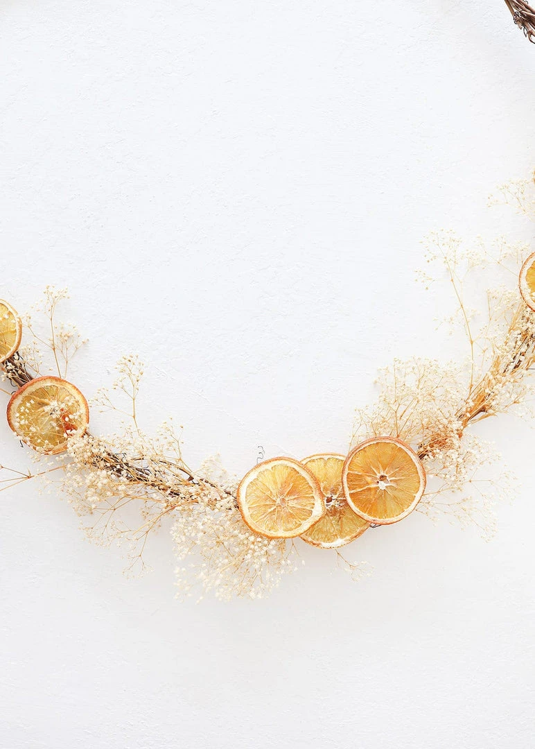 Afloral Bag Of 20 Preserved Orange Slices - 1.5-3"