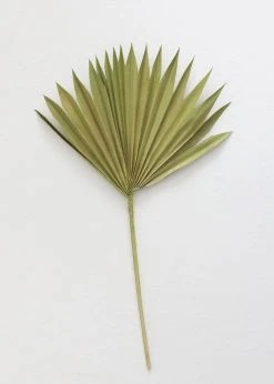 Bundle Of 5 Afloral Green Sun Palms - 14-20