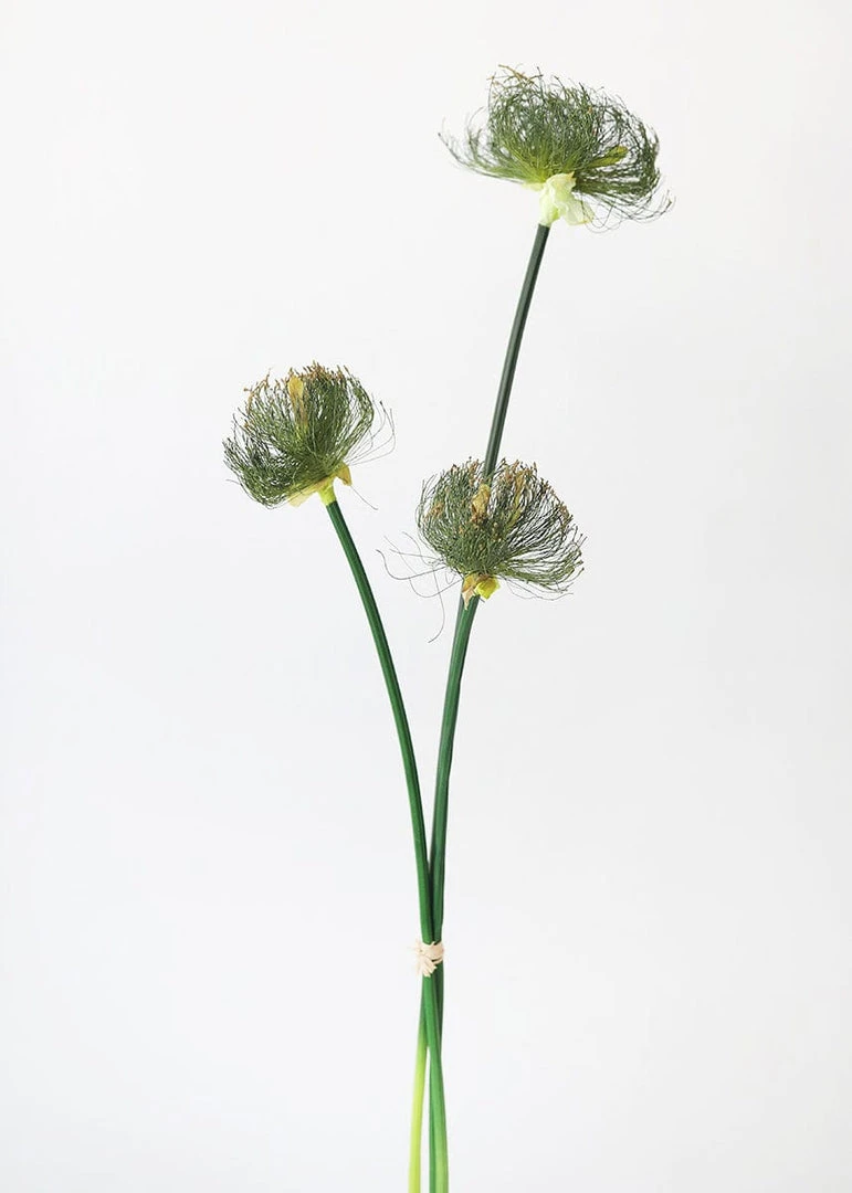 Afloral Artificial Plants Artificial Grasses Papyrus Reed Bundle - 32.5"