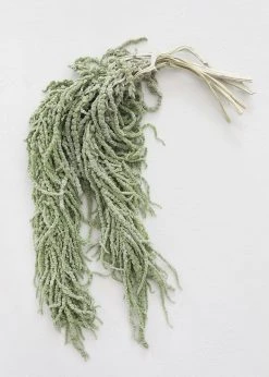 Afloral Green Preserved Amaranthus Hanging Flowers - 32-40" Dried Flowers