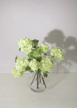 Afloral Vases Round Glass Bud Vase - 5.75"