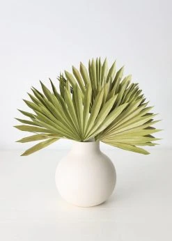 Bundle Of 5 Afloral Green Sun Palms - 14-20"