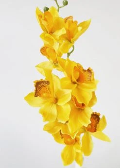 Afloral Silk Cymbidium Orchid In Golden Yellow - 30