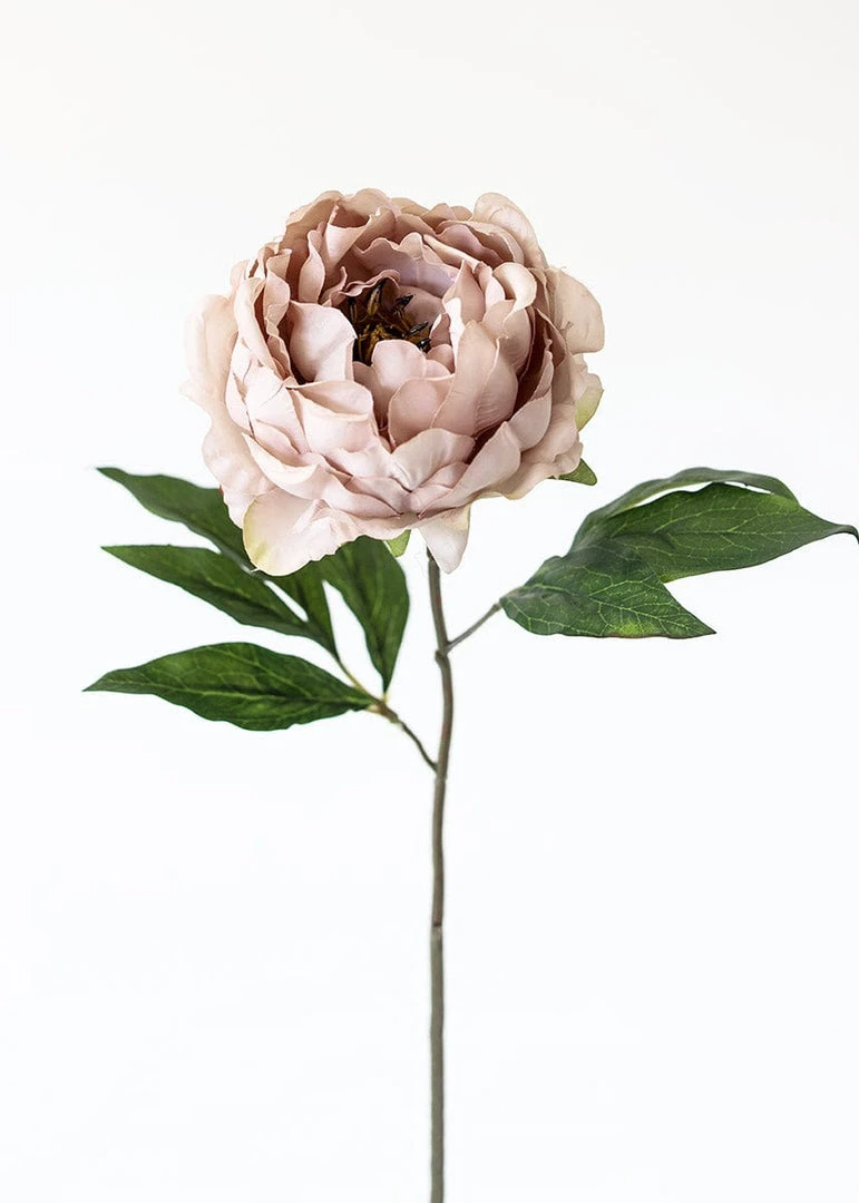 Afloral Silk Peony In Taupe Mauve - 18" Artificial Flowers