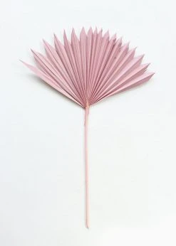 Afloral.com Bundle Of 5 Afloral Desert Pink Sun Palms - 18-24