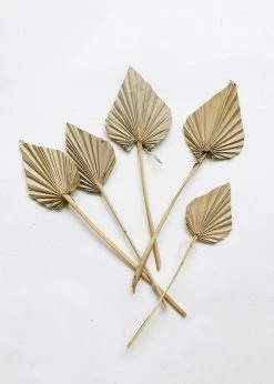 Afloral.com Bundle Of 5 Afloral Natural Mini Palm Spears - 16-22