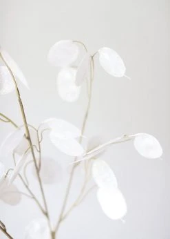Afloral Faux Lunaria Silver Dollar Lunaria - 29" Artificial Flowers