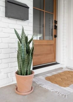 Afloral Large Terra Cotta Pot With Drainage - 9.5"