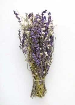 Afloral Larkspur And Daisy Dried Bouquet - 14-18