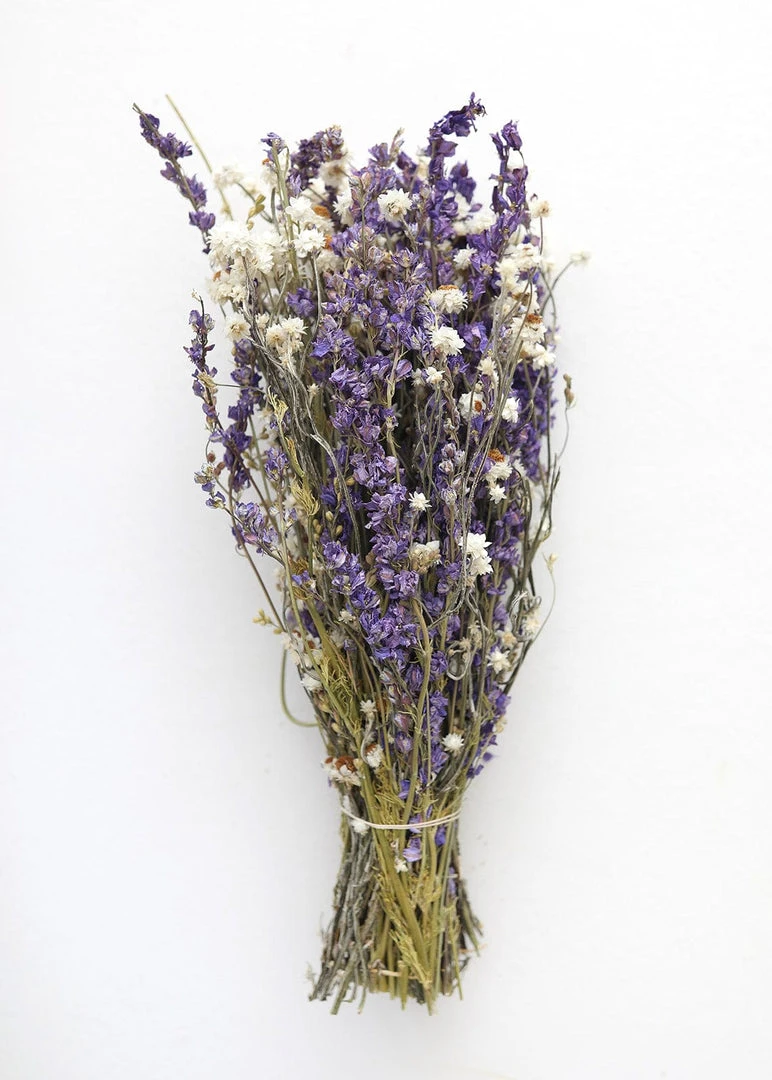 Afloral Larkspur And Daisy Dried Bouquet - 14-18" Dried Flowers