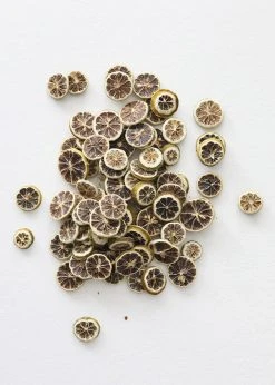 Afloral Bag Of 80 Fragrant Dried Green Lemon Slices - 1-2" Dried Flowers