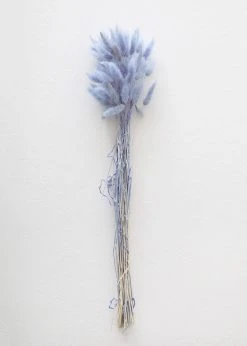 Afloral Light Blue Dried Bunny Tails - 18-28" Dried Flowers