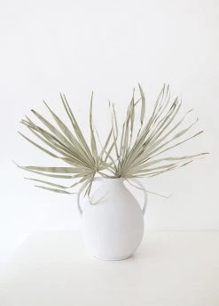 Bundle Of 5 Afloral Dried Skinny Sun Palms - 26-32"