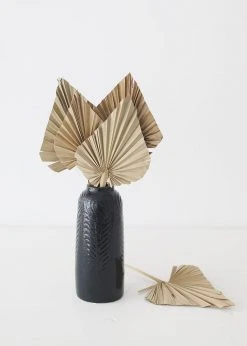 Afloral.com Bundle Of 5 Afloral Natural Mini Palm Spears - 16-22