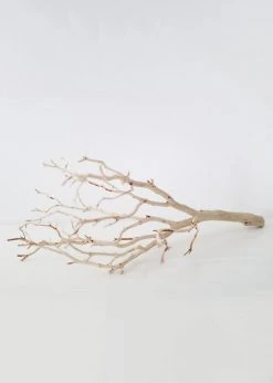 Afloral Dried Flowers Dried Decor Sandblasted Manzanita Branch - 34-38"