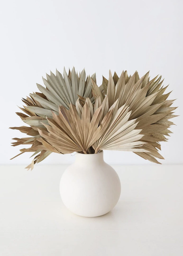 Bundle Of 5 Afloral Natural Sun Palms - 14-20"