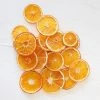 Afloral Bag Of 20 Preserved Orange Slices - 1.5-3"