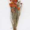 Afloral Dried Flowers Orange Dried Marigold Flowers - 14-22"