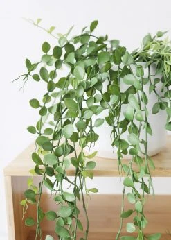Afloral Artificial Plants Hanging Button Leaf Plant - 40