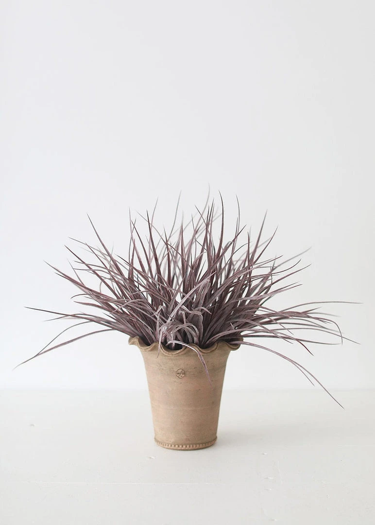 Afloral Indoor/Outdoor Grass Bush In Eggplant - 19" Artificial Plants