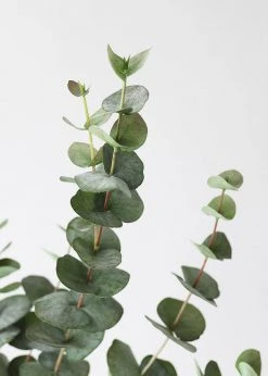 Afloral Green Grey Artificial Spiral Eucalyptus - 40