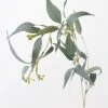 Afloral Artificial Seeded Eucalyptus Leaves - 23"