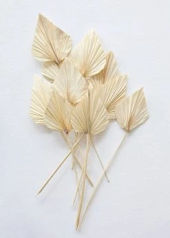 Afloral Dried Flowers Bundle Of 10 Bleached Dried Palm Spears - 14-20"