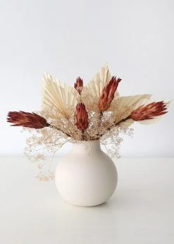 Afloral Bundle Of 6 Red Dried Protea Repens - 7-12