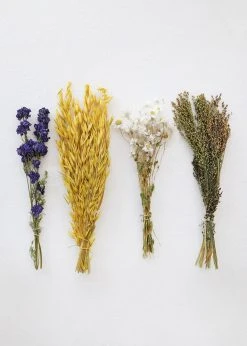 Afloral Petite Dried Floral Hoop Styling Kit