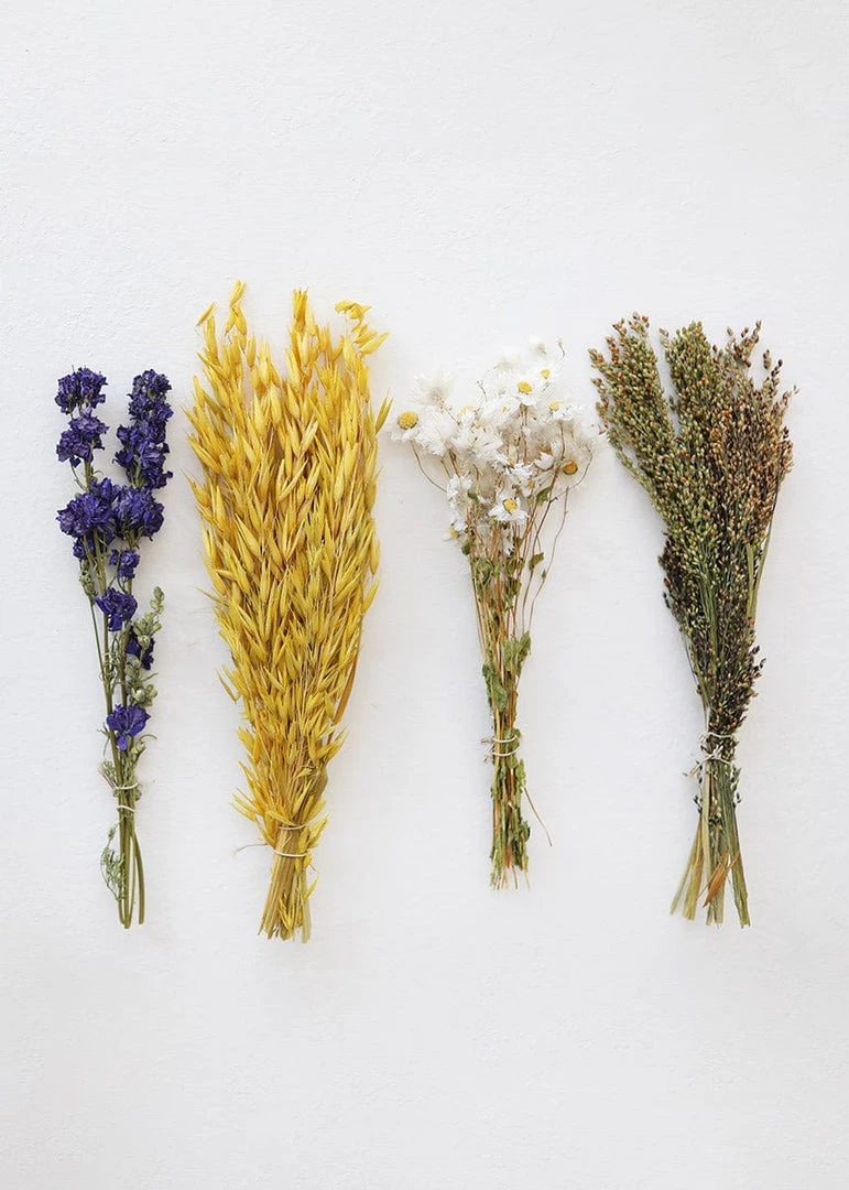 Afloral Petite Dried Floral Hoop Styling Kit