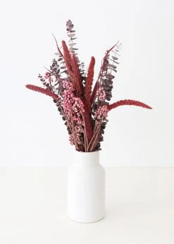Afloral Dried Flowers Burgundy Preserved Spiral Eucalyptus - 17-24