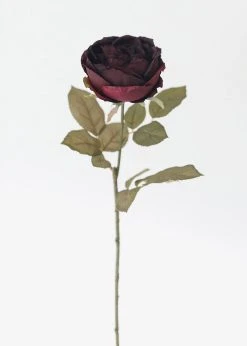 Afloral Eggplant Silk English Cabbage Rose - 25"