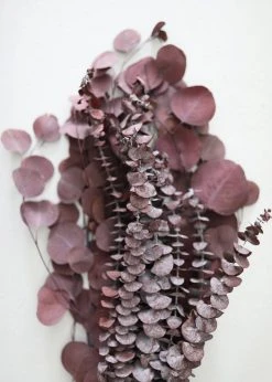 Afloral Burgundy Preserved Mixed Eucalyptus Bundle - 22-32"