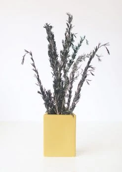 Afloral Dried Flowers Preserved Rosemary Greenery - 18-28