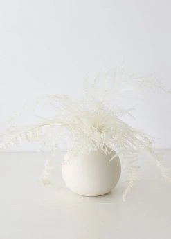 Afloral Dried Flowers Bundle Of 10 Bleached Preserved Ferns - 16-20