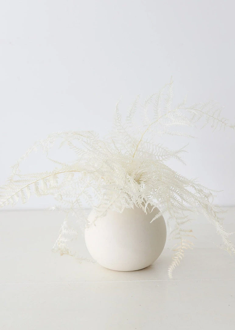 Afloral Dried Flowers Bundle Of 10 Bleached Preserved Ferns - 16-20"