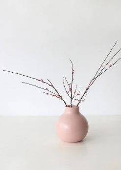 Afloral Preserved Pink Pussy Willow Branches - 20-28"