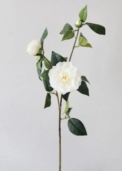 Afloral Real Touch Camellia Roses In Cream White - 35" Artificial Flowers