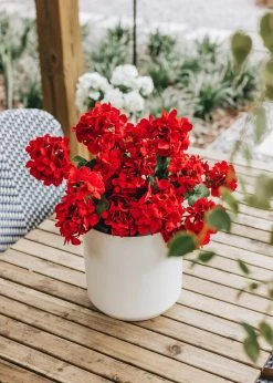 Afloral Artificial Flowers UV Protected Indoor/Outdoor Fake Geranium Bush - 24"