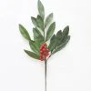 Afloral Fake Outdoor Bay Leaf Pick - 16.5"